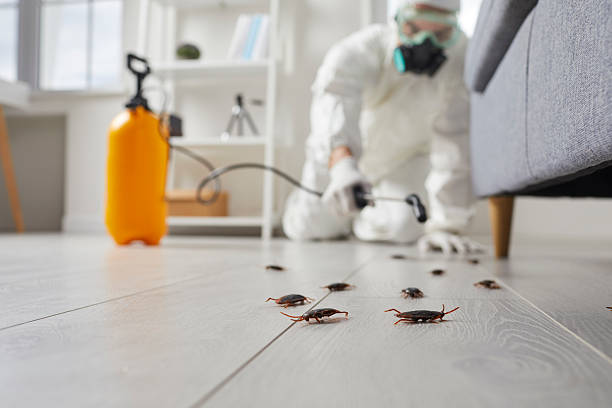 Commercial Kitchen Cockroach Control in Princeville